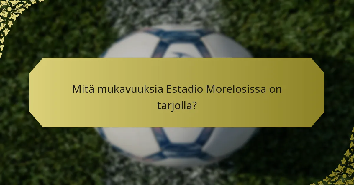 Kuinka esteetön Estadio Morelos on vammaisille vierailijoille?