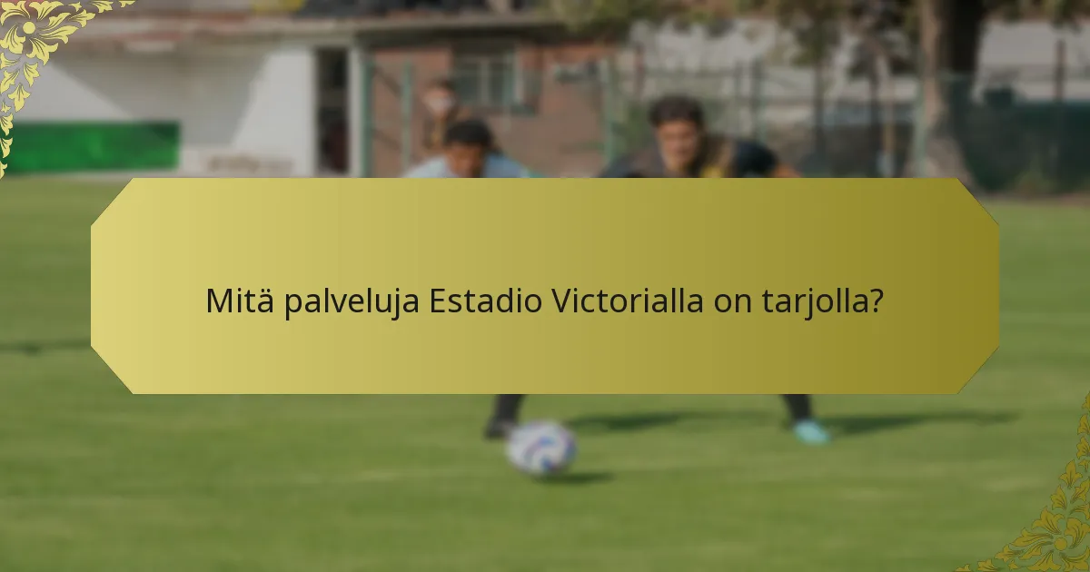 Kuinka Estadio Victoria huomioi esteettömyyden tarpeet?