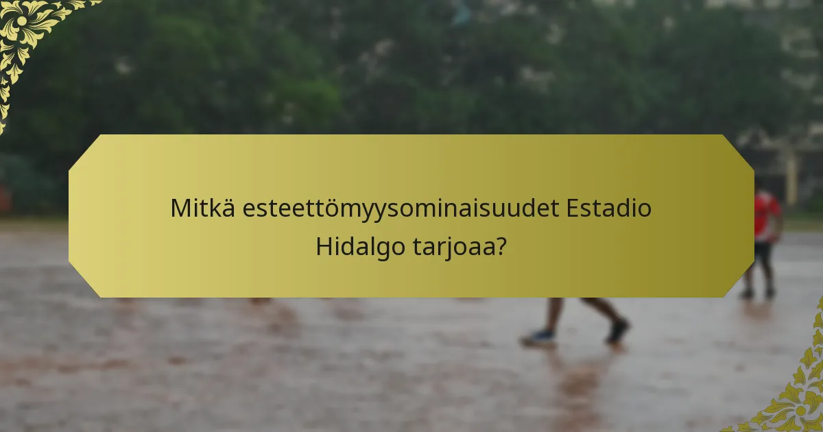 Mitkä esteettömyysominaisuudet Estadio Hidalgo tarjoaa?