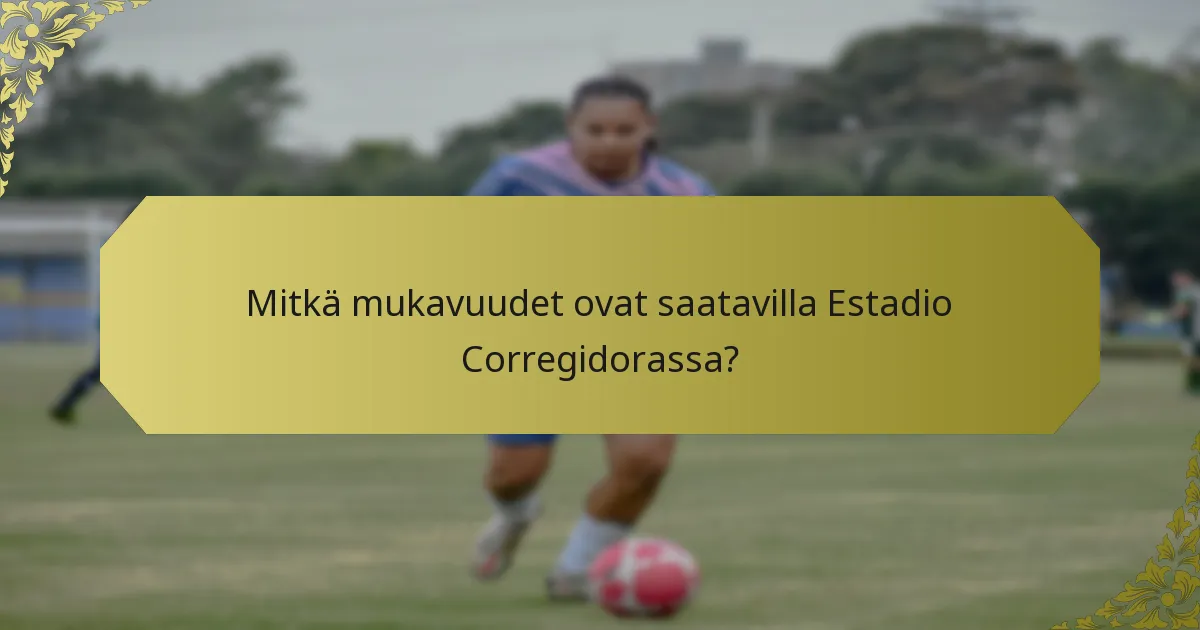 Kuinka esteetön Estadio Corregidora on vammaisille vierailijoille?